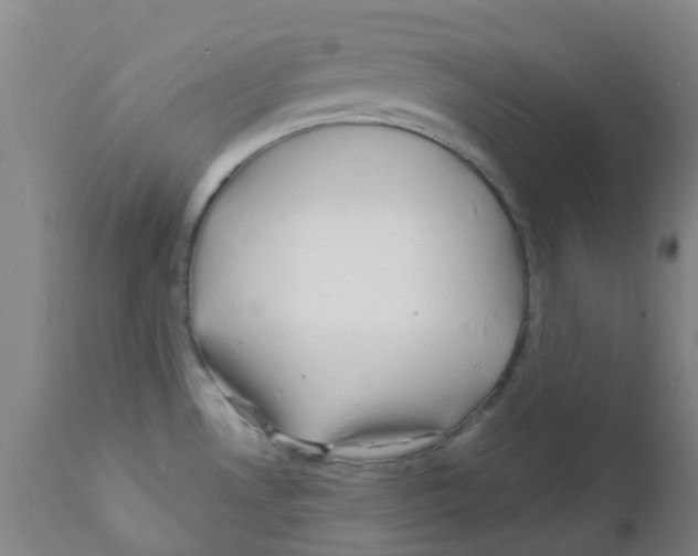 X0000111791530200909031145