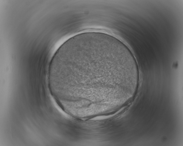 X0000111791533200909031145