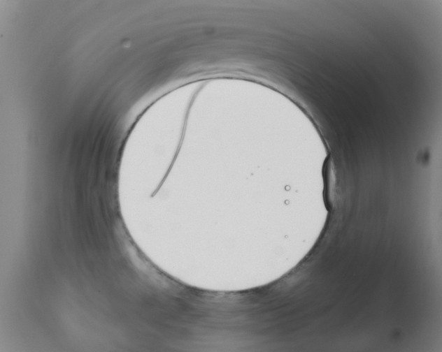 X0000111791534200909031145