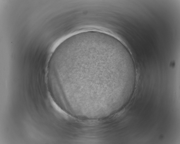 X0000111791535200909031145