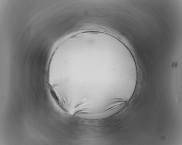 X0000111791536200909031145