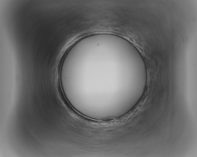 X0000111800005200907231005