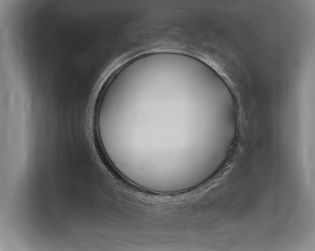 X0000111800007200907231005