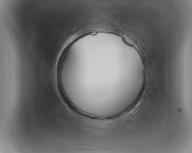 X0000111800008200907231005