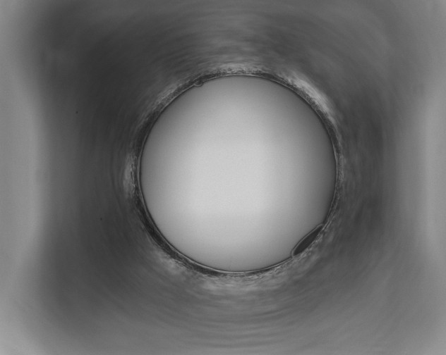 X0000111800009200907231005
