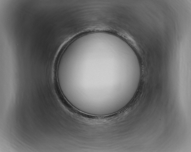 X0000111800012200907231005