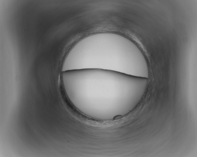 X0000111800019200907231004