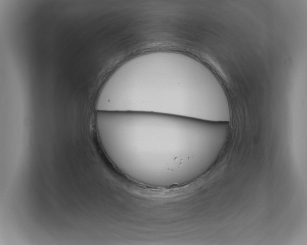 X0000111800023200907231004