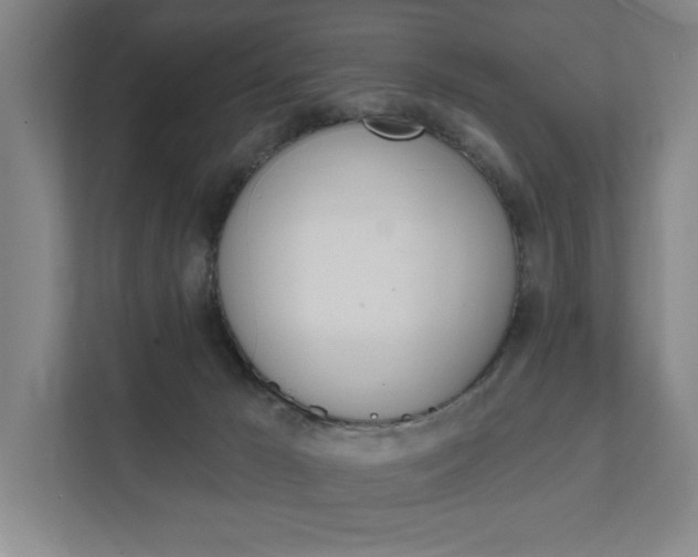 X0000111800029200907231004