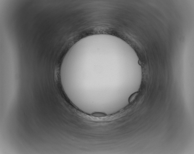 X0000111800038200907231004