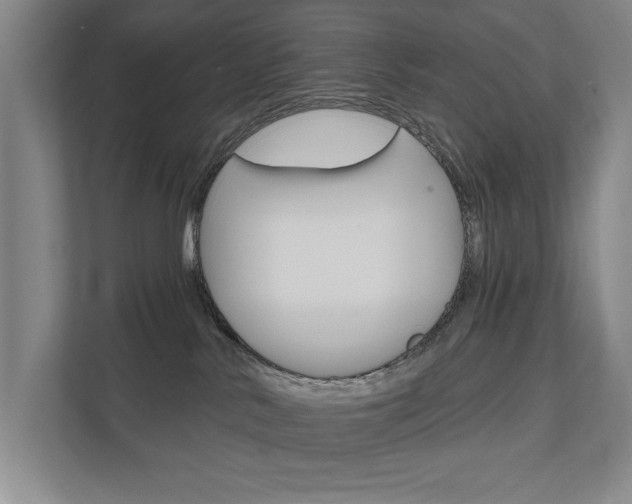 X0000111800042200907231004