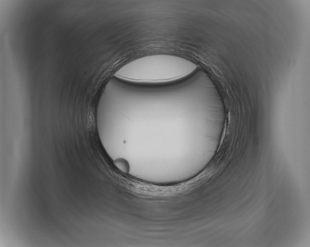 X0000111800048200907231004
