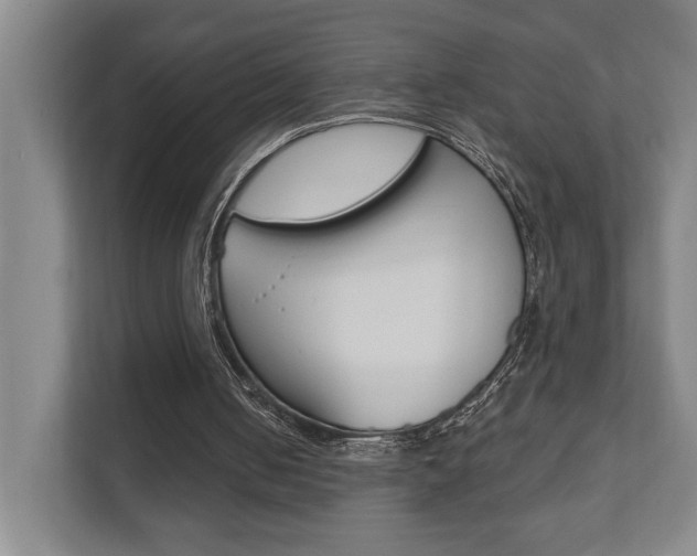 X0000111800050200907231003