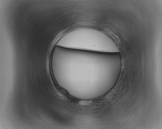 X0000111800051200907231003