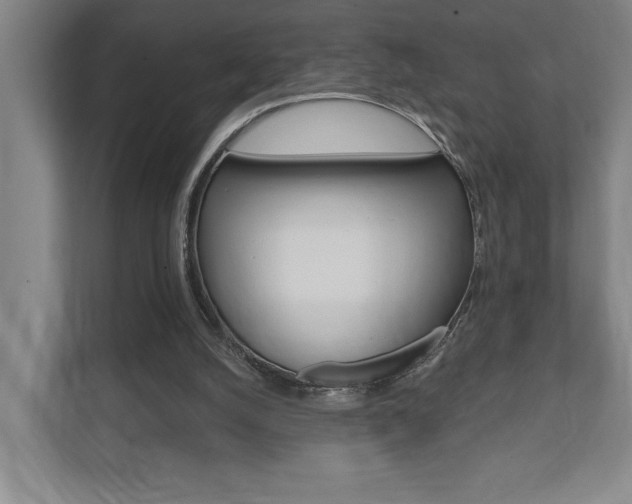 X0000111800056200907231004