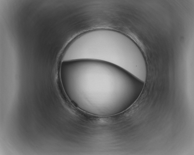 X0000111800060200907231004