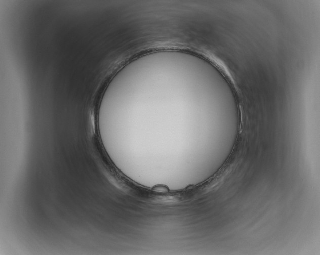 X0000111800061200907231004