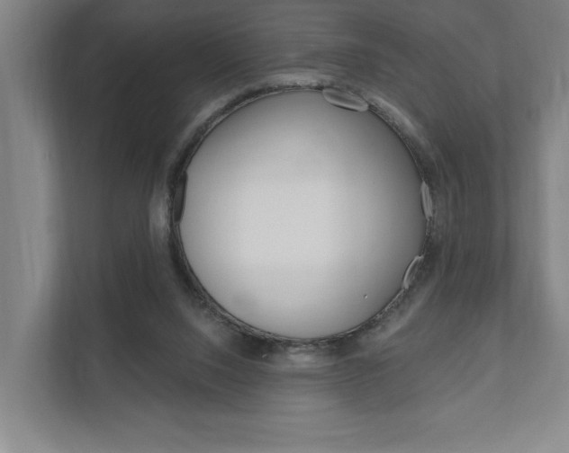 X0000111800064200907231004