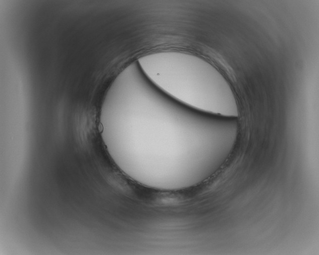 X0000111800073200907231004