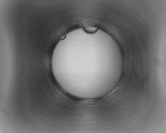 X0000111800078200907231004