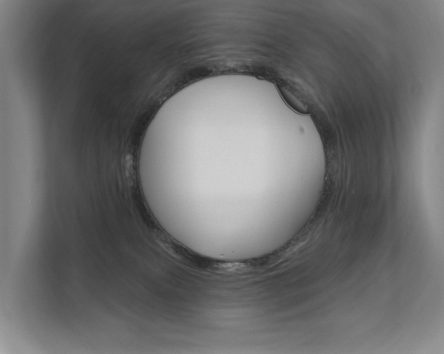 X0000111800087200907231004