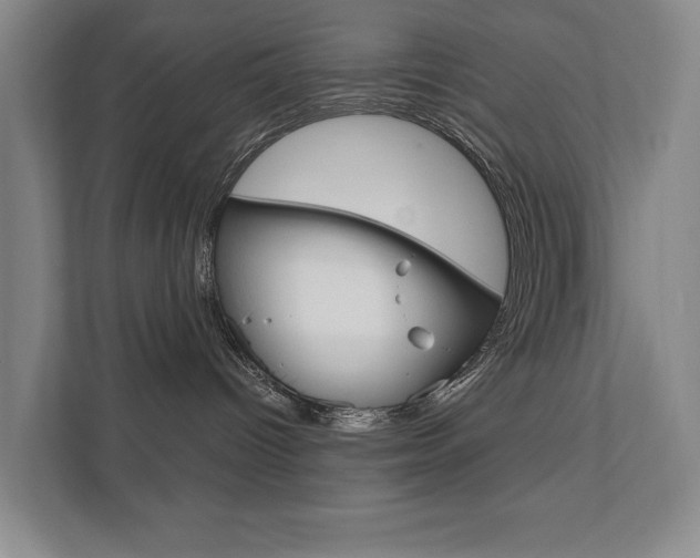 X0000111800096200907231004