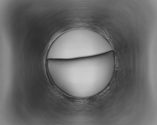 X0000111800099200907231003