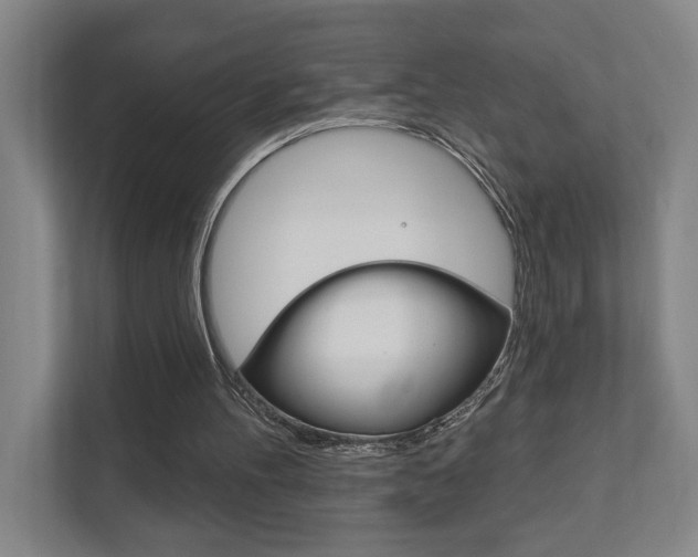 X0000111800100200907231003