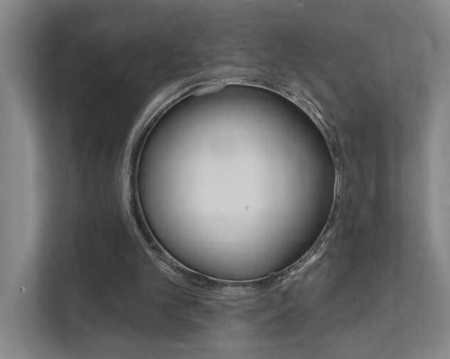 X0000111800101200907231003