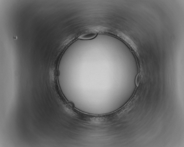 X0000111800105200907231003