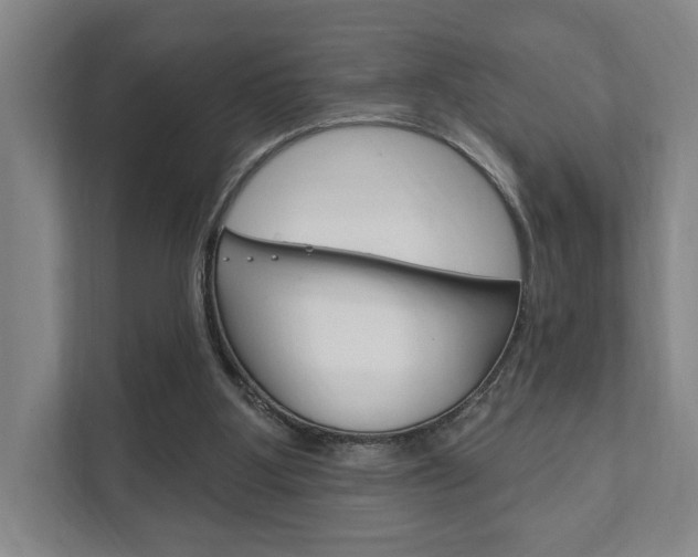 X0000111800107200907231003