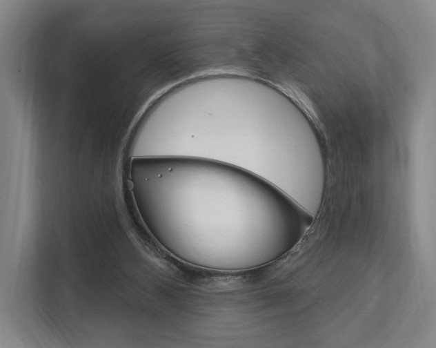 X0000111800108200907231003
