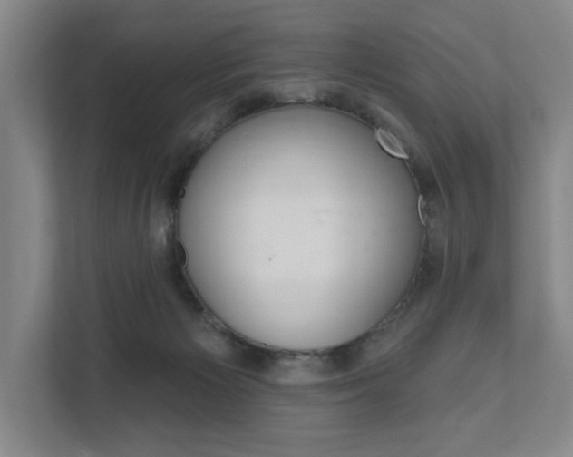 X0000111800125200907231003