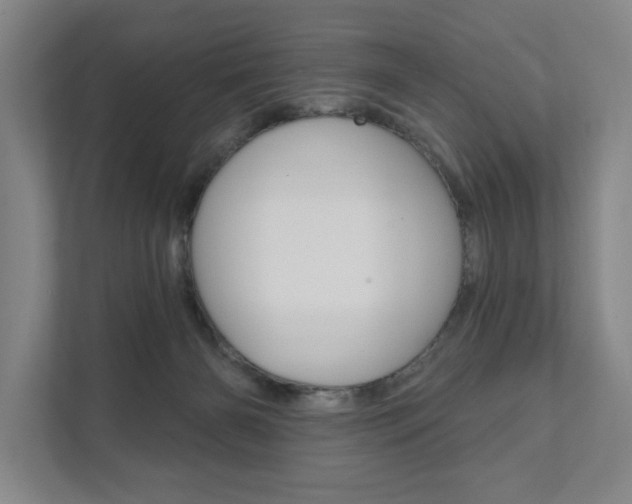 X0000111800126200907231003