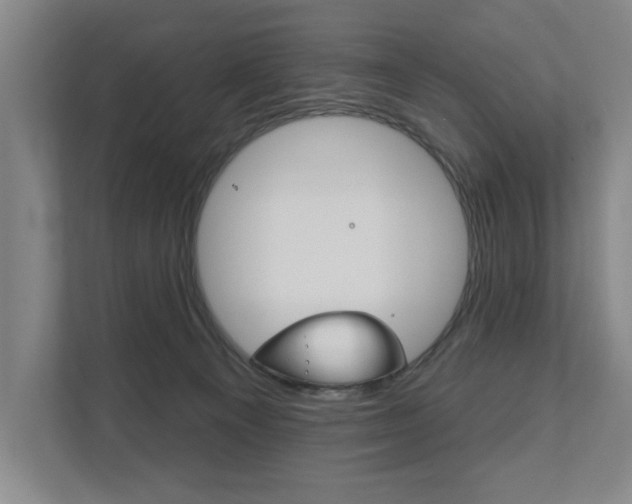 X0000111800129200907231003