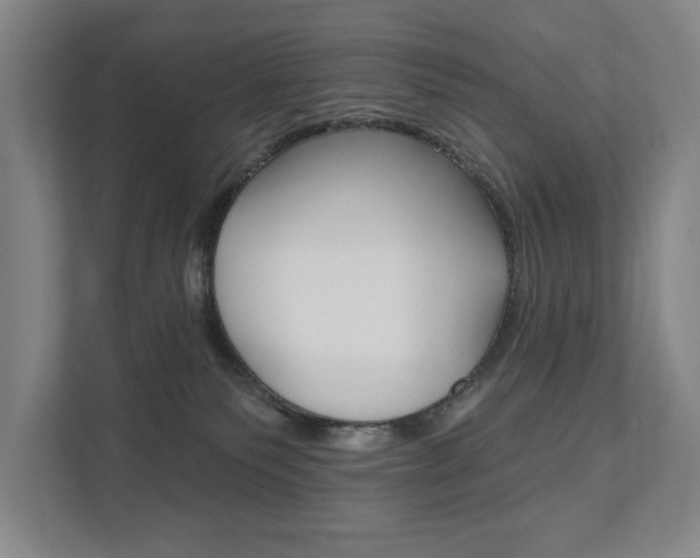 X0000111800135200907231003