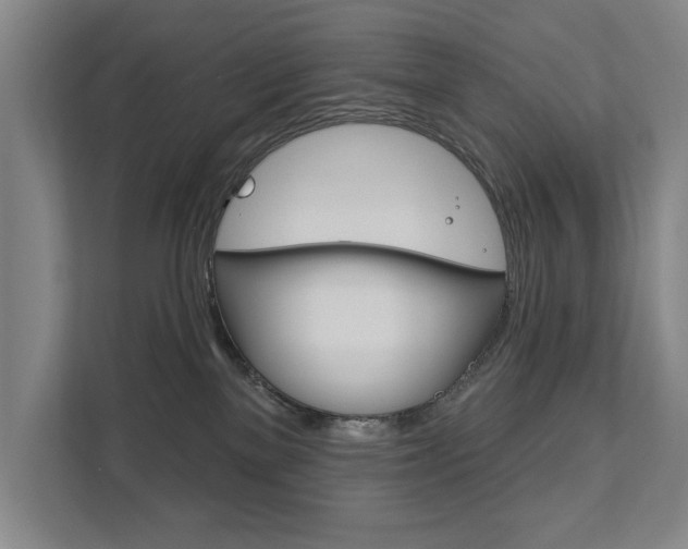X0000111800137200907231003