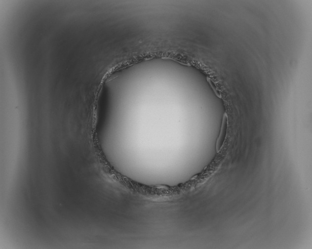 X0000111800144200907231003