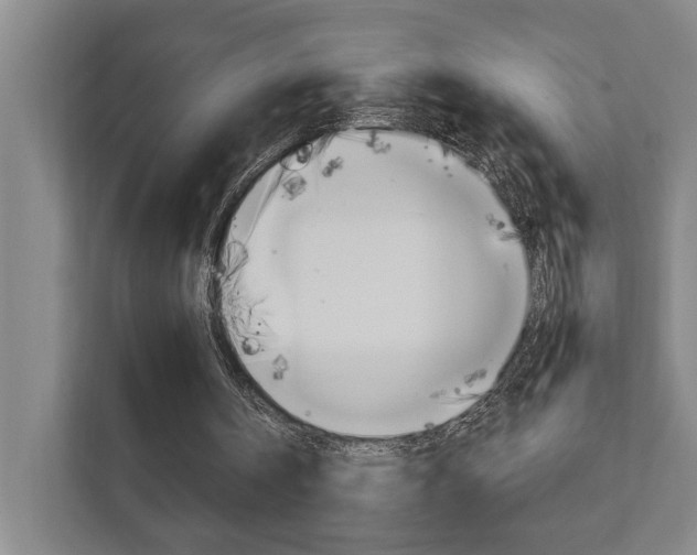 X0000111800146200907231002