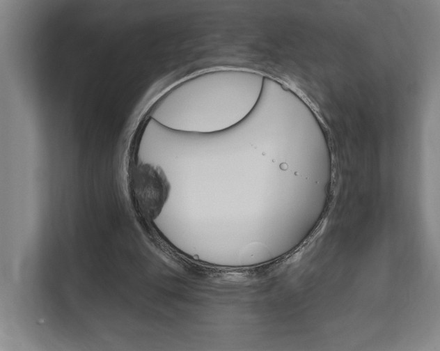 X0000111800151200907231002