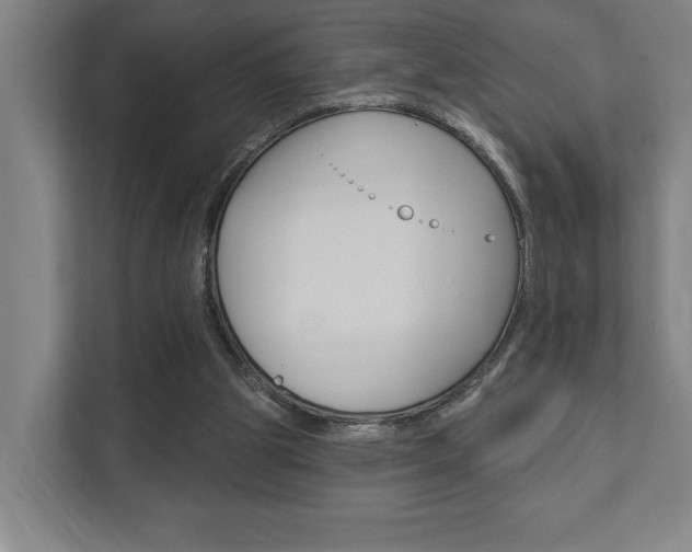 X0000111800153200907231002