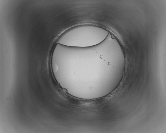 X0000111800155200907231002