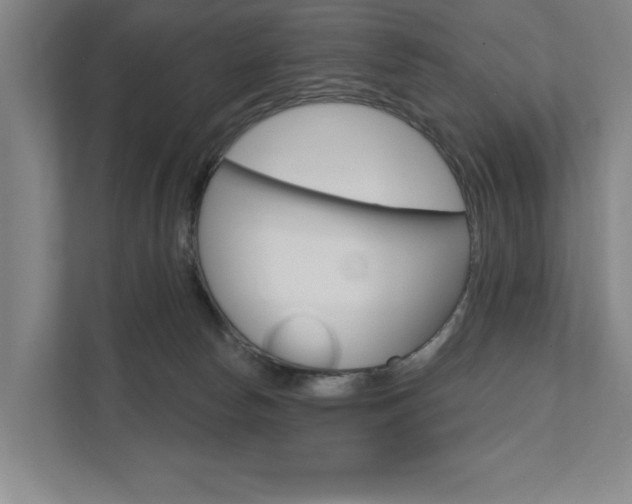 X0000111800178200907231003