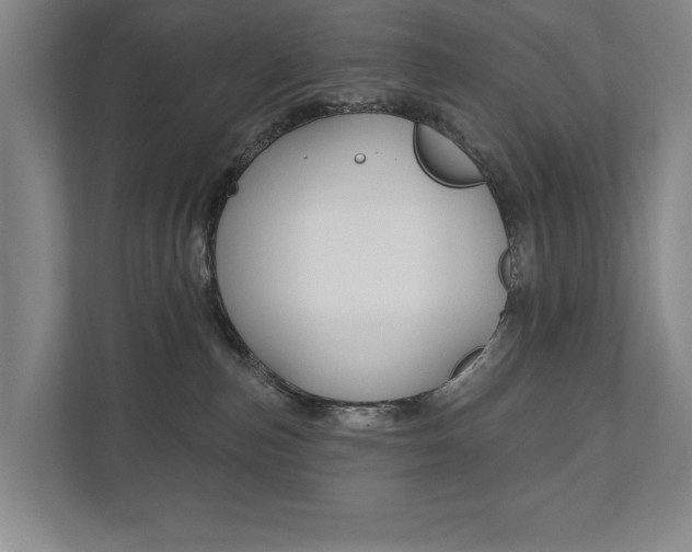X0000111800187200907231003
