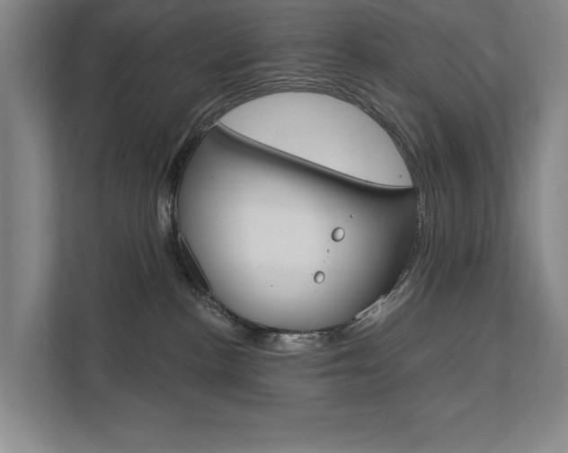 X0000111800188200907231003
