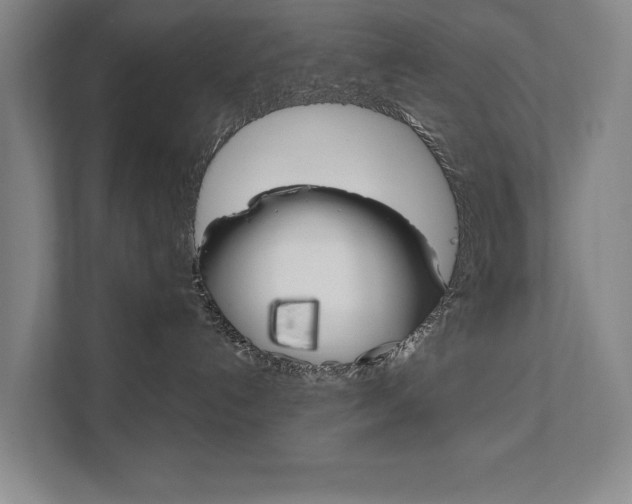 X0000111800192200907231003