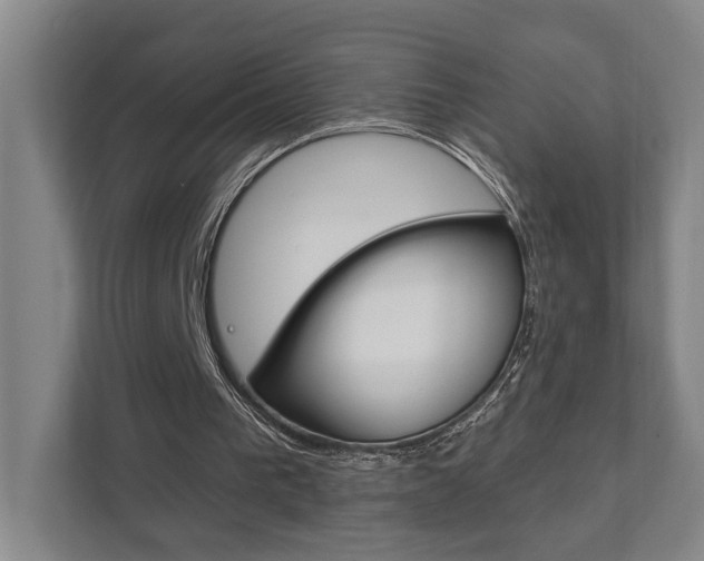 X0000111800193200907231002