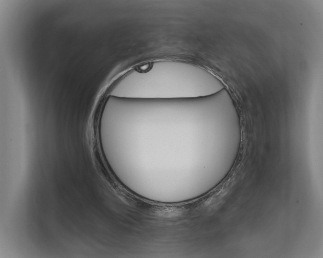 X0000111800198200907231002