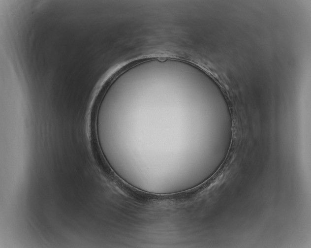 X0000111800200200907231002