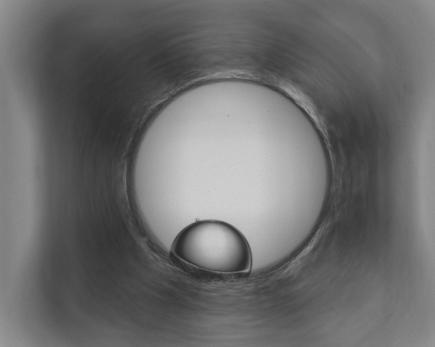 X0000111800201200907231002